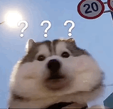 雅思考什么？雅思考察哪几个部分？图1